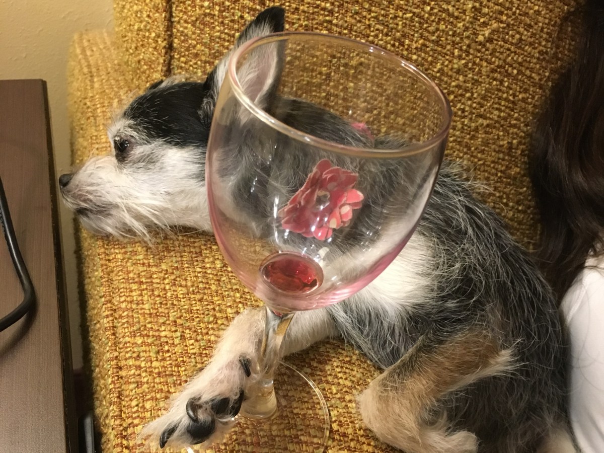 Feb – April 2018: Long Island / NYC, Connecticut &&nbsp;Massachusetts